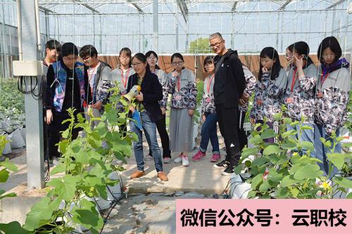 2021年特色幼兒園、幼教藝術(shù)企業(yè)、創(chuàng)意產(chǎn)業(yè)園、國際幼教集團(幼兒教育(國家級非遺藝術(shù)班))