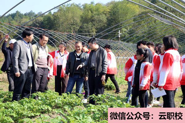 南京機電職業(yè)技術(shù)學(xué)院單招生對象及報名條件