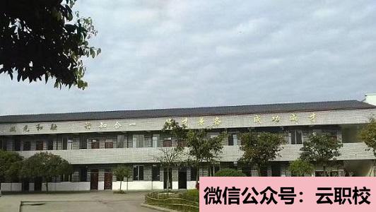 重慶沙坪壩區(qū)學(xué)校報名條件(重慶沙坪壩區(qū)2021年200分能上衛(wèi)校嗎)圖2