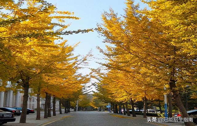 成都郵電職業(yè)技術(shù)學(xué)校(咸陽(yáng)郵電職業(yè)技術(shù)學(xué)校)