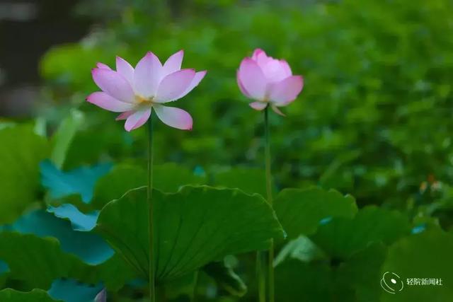 廣東輕工職業(yè)技術(shù)學校(廣東輕工職業(yè)技術(shù)學校教務系統(tǒng))