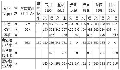 四川護理本科學校有哪些的簡單介紹