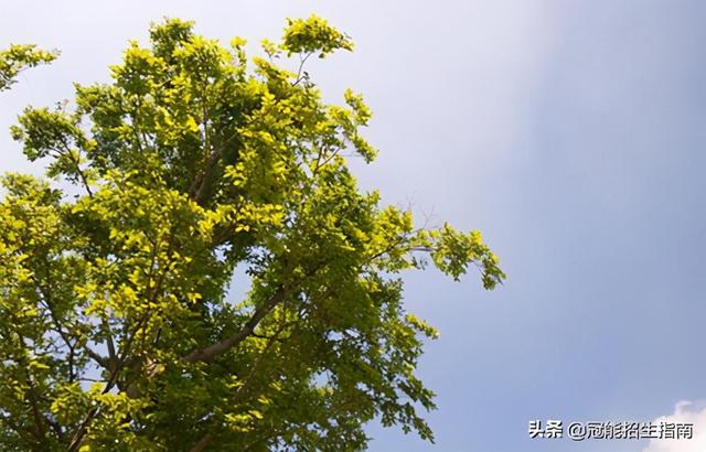 四川幼師專業(yè)學(xué)校有哪些職校(青島幼師專業(yè)學(xué)校有哪些)圖2