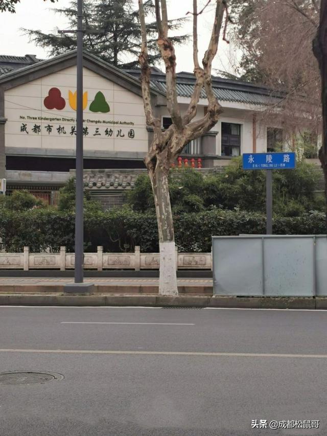 成都前十名幼兒園排名(成都最貴的幼兒園排名)