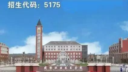 成都高職有哪些學校(成都高職學校有哪些學校)