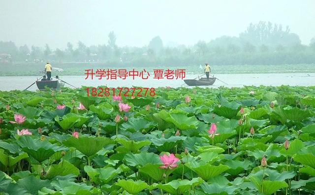 成都華夏旅游學(xué)校怎么樣(成都華夏旅游學(xué)校曝光)