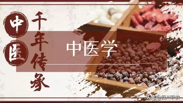 眉山技校排名(石家莊最好的技校排名)