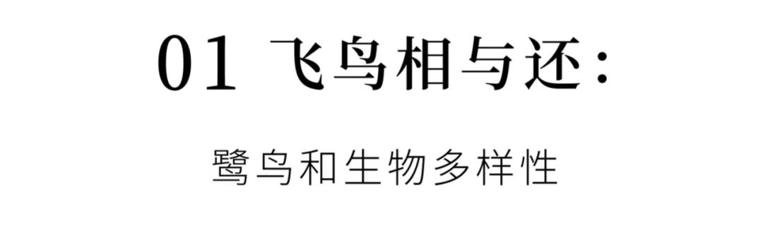 成都希望職業(yè)學校地址(成都航空職業(yè)學校地址)