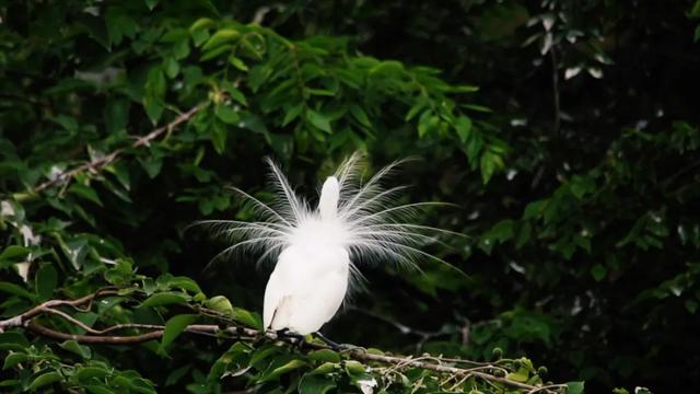 成都希望職業(yè)學校地址(成都航空職業(yè)學校地址)