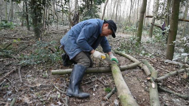 成都希望職業(yè)學校地址(成都航空職業(yè)學校地址)