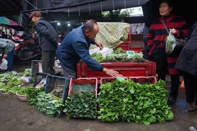 成都希望職業(yè)學校地址(成都航空職業(yè)學校地址)